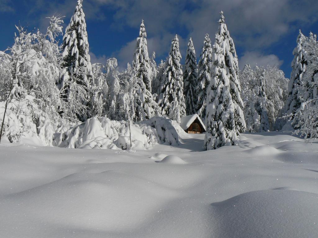 Apartamento Hiska Henrik Zalokar Bohinj Exterior foto